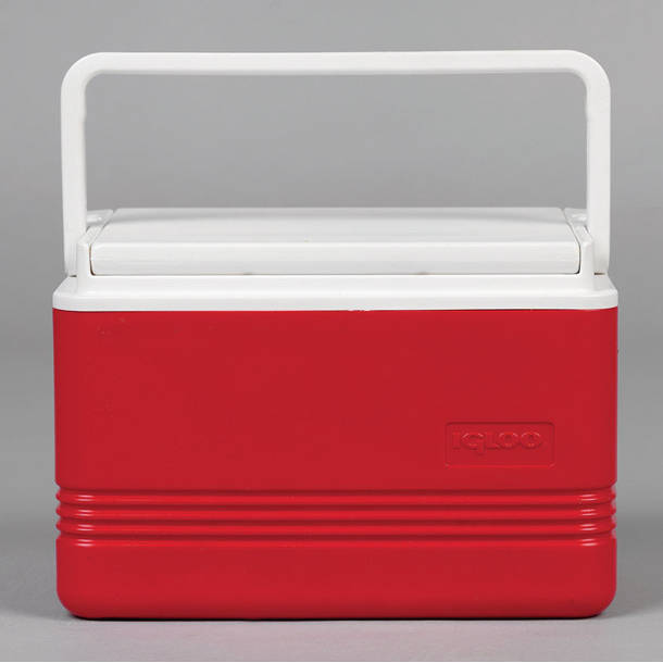 Igloo 24 Can Legend Cooler & Reviews Wayfair Canada